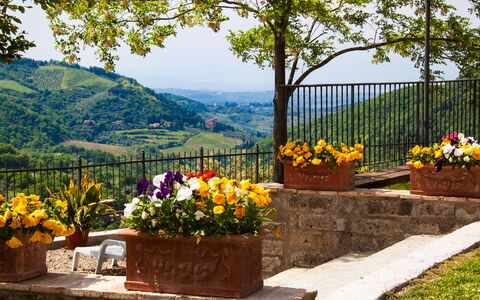 Agriturismo Casa Da Pietro: Maceta, Colina, Primavera, Planta De Casa, Jardín, Cerca, Paisajismo, Mesa Al Aire Libre, Floristas
