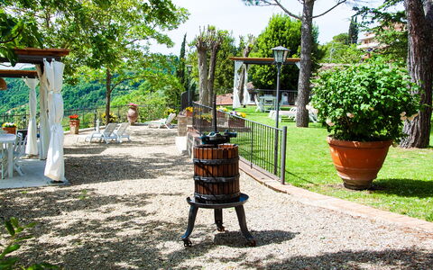 Agriturismo Casa Da Pietro: Mueble, Jardín, Mueble Para Exteriores, Primavera, Maceta, Sombra, Patio Interior, Yarda, Paisajismo