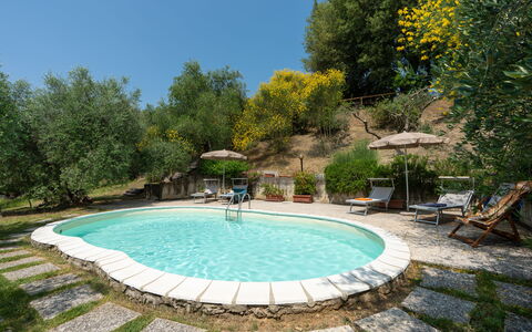 Casa Livia: Piscina, Mueble Para Exteriores, Mueble, Silla, Recurso, Patio Interior, Sombra, Jardín, Eco Hotel, Paisajismo