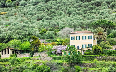 La Vigna
