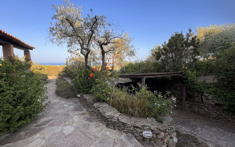 Villetta Oasi Belvedere, Budoni, Wifi, Ac: Arbusto, Jardín, Paisajismo, Patio Interior, Losa, Maceta