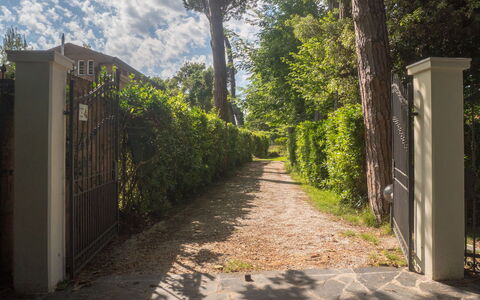 Casa Carla: Hoja, Verde, Naturaleza, Vegetación, Arbusto, Jardín, Luz De Sol, Sombra, Primavera, Sendero