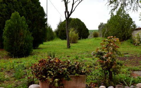 Casa Carletto, Abruzzo: Hoja, Arbusto, Jardín, Planta De La Comunidad, Plantas Leñosas, Paisajismo, Planta Herbácea, Césped, Patio Interior