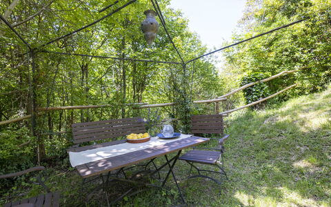 Il Castagneto: Planta De La Comunidad, Selva, Jardín, Sombra, Bosque, Valdiviano Bosque Templado Lluvia, Estructura Al Aire Libre, Selva, Patio Interior