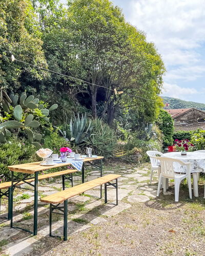 Schöner Augenblick: Arbusto, Jardín, Primavera, Mueble Para Exteriores, Mesa Al Aire Libre, Paisajismo, Yarda, Patio Interior, Maceta