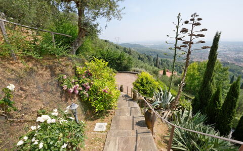 Uno Sguardo sul Mare: Vegetación, Arbusto, Paisaje, Planta De La Comunidad, Jardín, Cobertura Del Suelo, Pasarela, Sendero, Jardín Botánico