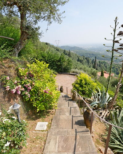 Uno Sguardo sul Mare: Vegetación, Arbusto, Paisaje, Planta De La Comunidad, Jardín, Cobertura Del Suelo, Pasarela, Sendero, Jardín Botánico