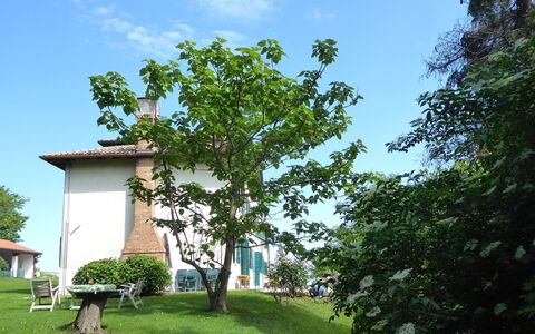 Casa Ballo delle Streghe, Garden, Montebelluna: Césped, Jardín, Sombra, Yarda, Patio Interior, Paisajismo, Casa De Campo