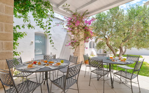 Masseria Lamagrotte By Raro Rooms: Mueble, Silla, Mesa, Mueble Para Exteriores, Cocina Y Comedor Mesa, Mesa Al Aire Libre, Maceta, Patio, Restaurante, Jardín