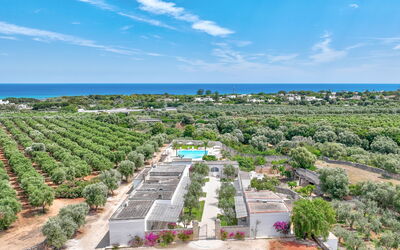 Masseria Lamagrotte By Raro Rooms: Recurso, Inmuebles, Paisajismo, Plantación, Vista Panorámica, Piscina, Eco Hotel, Fotografía Aérea, Ciudad De Vacaciones, Hacienda