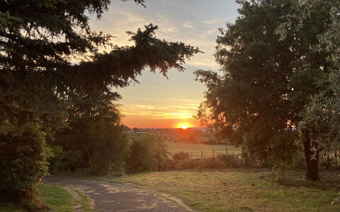 Villa Ginevra: Dom, Hoja, Rama, Árbol, Naturaleza, Hierba, Paisaje Natural, Puesta De Sol, Amanecer