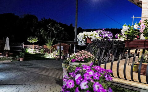 Le Rondini: Noche, Maceta, Jardín, Floristas, Medianoche, Paisajismo, Planta De Casa, La Iluminación Del Paisaje, Yarda
