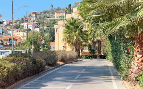 Casa Francy - Arma Di Taggia: Árbol, Superficie De La Carretera, La Carretera, Vegetación, Barrio Residencial, Vía Pública, Asfalto, Calle, Carril