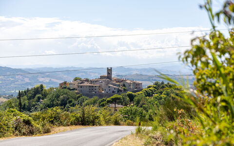 La Pineta Holiday Homes: Horizonte, Paisaje, El Terreno Del Lote, Asentamientos Humanos, Área Rural, Suburbio, Pueblo, Shrubland, Chaparral