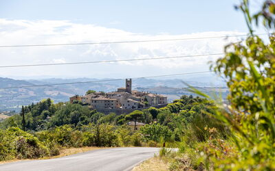 La Pineta Holiday Homes