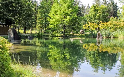Terme di Comano 104: Agua, Cuerpo De Agua, Árbol, Los Recursos Hídricos, Verde, Naturaleza, Entorno Natural, Paisaje Natural, Corriente De Agua, Reflexión