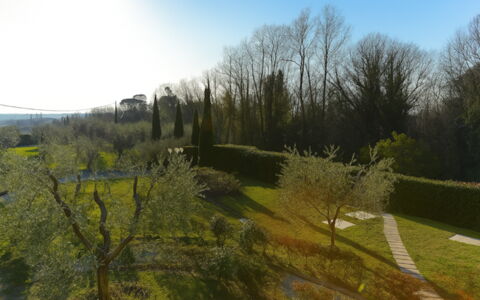 Villa Diamante: Hierba, Hoja, Naturaleza, Verde, Entorno Natural, Vegetación, Paisaje Natural, Arbusto, Paisaje, El Terreno Del Lote