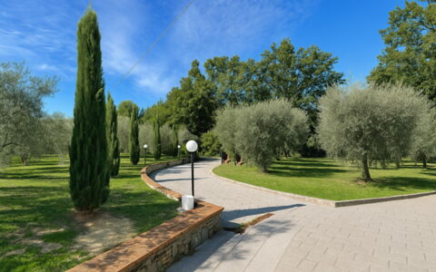 Villa Diamante: Árbol, Hierba, Hoja, Arbusto, Jardín, Plantas Leñosas, Primavera, Pasarela, Parque, Paisajismo