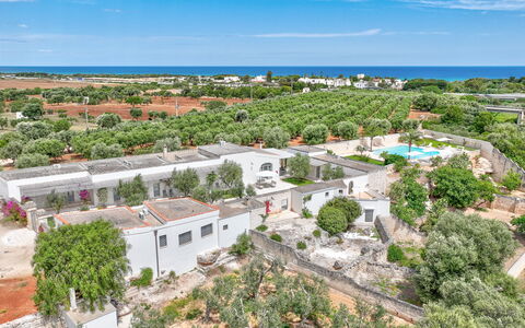 Masseria Lamagrotte: Árbol, Barrio Residencial, Paisaje, Diseño Urbano, Asentamientos Humanos, Vista Panorámica, Inmuebles, Suburbio, Fotografía Aérea, Paisajismo