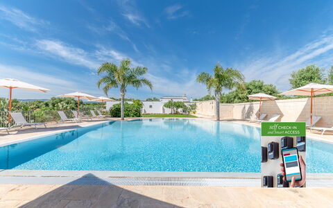 Masseria Lamagrotte: Piscina, Mueble Para Exteriores, Paraguas, Recurso, Ocio, Silla, Eco Hotel, Sombra, Sunlounger, Paisajismo