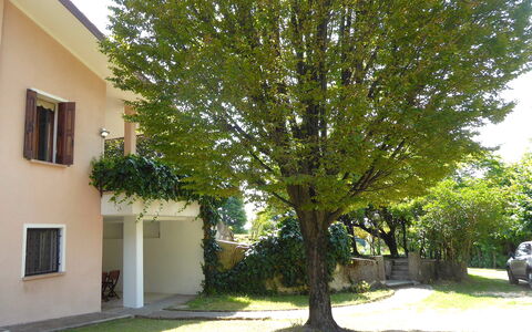 Villa Rosa Apartment: Plantas Leñosas, Sombra, Yarda, Jardín, Césped, Patio Interior, Paisajismo, Entrada De Coches, Hojas Perennes