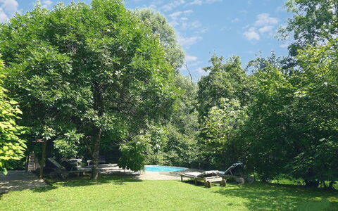 Chalet Fagarè, Pool, Sauna, Prosecco Hills: Árbol, Hoja, Rama, Vegetación, Arbusto, Jardín, Sombra, Césped, Primavera, Luz De Sol