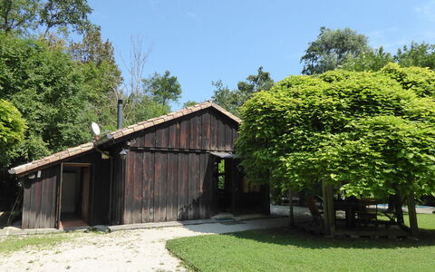 Chalet Fagarè, Pool, Sauna, Prosecco Hills: Árbol, Madera, Cobertizo, El Terreno Del Lote, Área Rural, Edificios Del Jardín, Sombra, Cabaña, Plantas Leñosas, \Choza