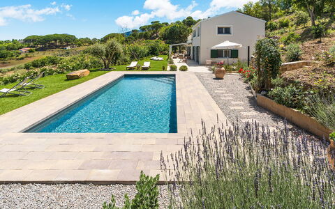 Casaita: Jardín, Piscina, Paisajismo, Pasarela, Inmuebles, Losa, Patio Interior, Recurso, Villa, Eco Hotel