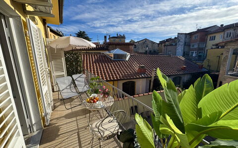 Casa Capolino: Barrio, Casa, Departamento, Balcón, Maceta, Planta De Casa