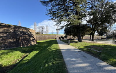 Casa Capolino - Lucca, Toscana, Italia