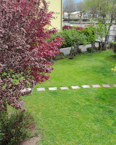 House Martina: Arbusto, Jardín, Cobertura Del Suelo, Césped, Primavera, Patio Interior, Yarda, Paisajismo, Parque