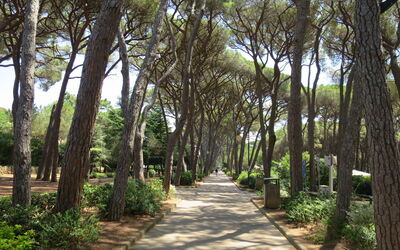 La Casetta