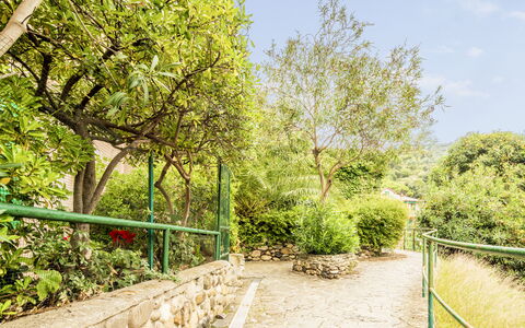 Casa Dolly, Monterosso 5 Terre: Verde, Vegetación, Arbusto, Primavera, Jardín, Sombra, Jardín Botánico, Paisajismo, Cerca, Pasarela