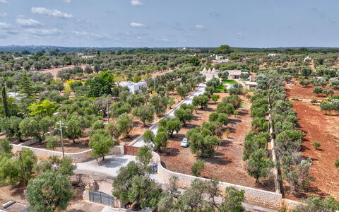 Trulli di Luccio: Árbol, Paisaje, El Terreno Del Lote, Vista Panorámica, Fotografía Aérea, Plantación, Pueblo, Paisajismo
