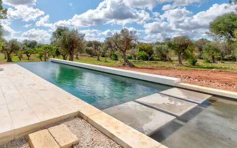 Villa Manè: Material Compuesto, Piscina, Fuente De Agua, Reflexión, Paisajismo, Loseta, Piscina De Reflejo, Pasarela