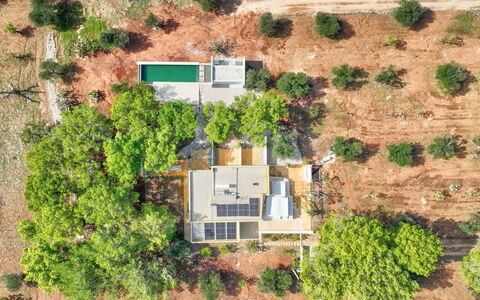 Villa Manè: Árbol, Inmuebles, Plantación, Fotografía Aérea, Vista Panorámica