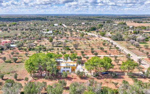 Villa Manè: Tiempo De Día, Árbol, Paisaje, El Terreno Del Lote, Llanura, Área Rural, Vista Panorámica, Campo, Fotografía Aérea, Plantación