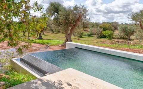Villa Manè: Material Compuesto, Jardín, Piscina, Fuente De Agua, Paisajismo, Patio Interior, Material Natural, Diseño