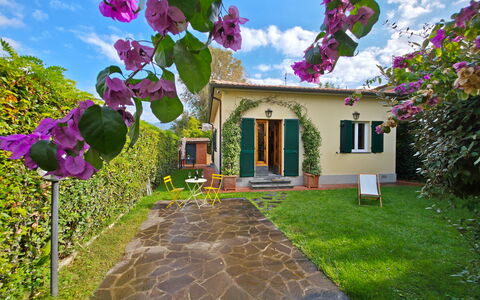 Villetta Tonfano: Arbusto, Jardín, Paisajismo, Yarda, Patio Interior, Césped, Sombra, Maceta, Hacienda