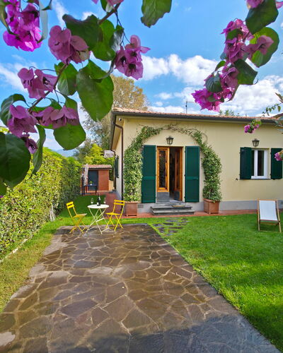 Villetta Tonfano: Arbusto, Jardín, Paisajismo, Yarda, Patio Interior, Césped, Sombra, Maceta, Hacienda