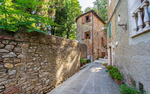 Torre di Serre: Pared, Ladrillo, Callejón, Enladrillado, Pared De Piedra, Losa, Guijarro, Pasarela, Maceta, Entrada De Coches