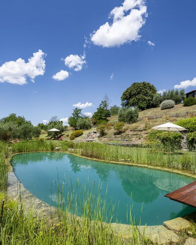 Aqua Bio Retreat: Azul, Paisaje Natural, Estanque, Jardín, Piscina, Reflexión, Paisajismo, Reservorio, Eco Hotel