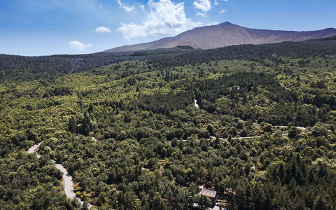 Casa Gibel: Accidentes Geográficos Montañosas, Entorno Natural, Montaña, Vegetación, Colina, Tierras Altas, Paisaje Natural, Ecorregión, Paisaje, Bosque
