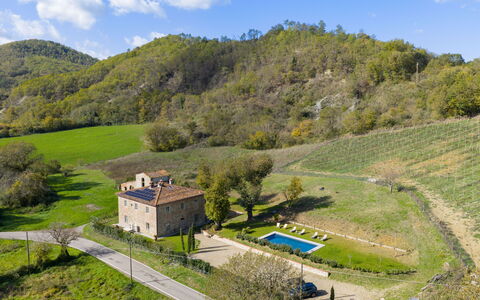 La Morella: El Terreno Del Lote, Área Rural, Casa, Cabaña, Inmuebles, Casa De Campo, Jardín, Césped, Prado, Piscina