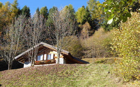 Chalet Genzianella: Hierba, Árbol, Madera, Casa, Techo, Cabaña, Arquitectura, Área Rural, Arbusto, Casa