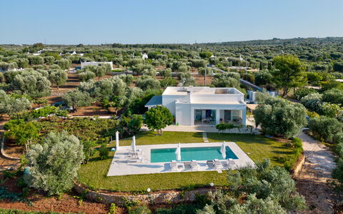 Lacorte di Ninetta: Paisaje, El Terreno Del Lote, Inmuebles, Paisajismo, Plantación, Villa