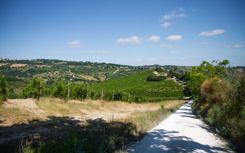 Zena Apartment: Verde, Vegetación, Paisaje Natural, Pradera, Paisaje, Colina, Área Rural, Arbusto, Llanura