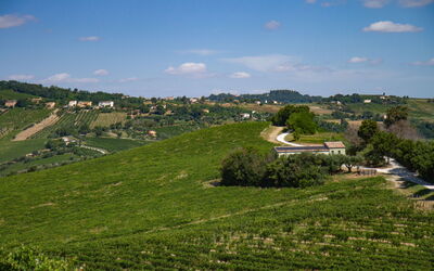 Zena Apartment: Verde, Agricultura, Campo, Plantación, Área Rural, Llanura, Pradera, Paisaje, El Terreno Del Lote