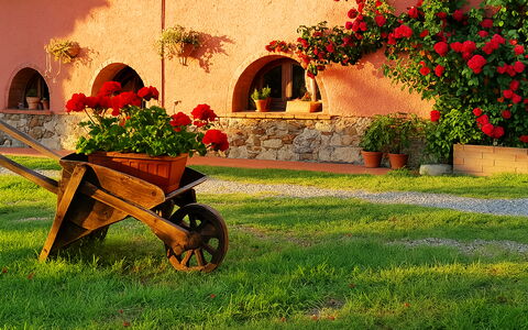 Appartamento Girasole Seaside and Pool: Jardín, Paisajismo, Yarda, Maceta, Patio Interior, Hacienda, Planta De Casa