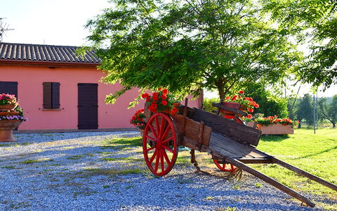 Appartamento Papavero Seaside and Pool: Jardín, Paisajismo, Yarda, Entrada De Coches, Maceta, Hacienda